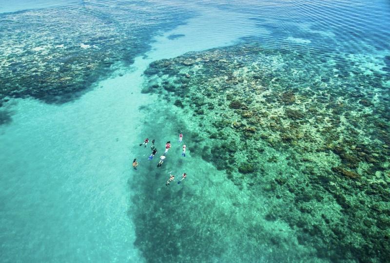 Outer and Coral Cay Snorkel and Dive Cruise