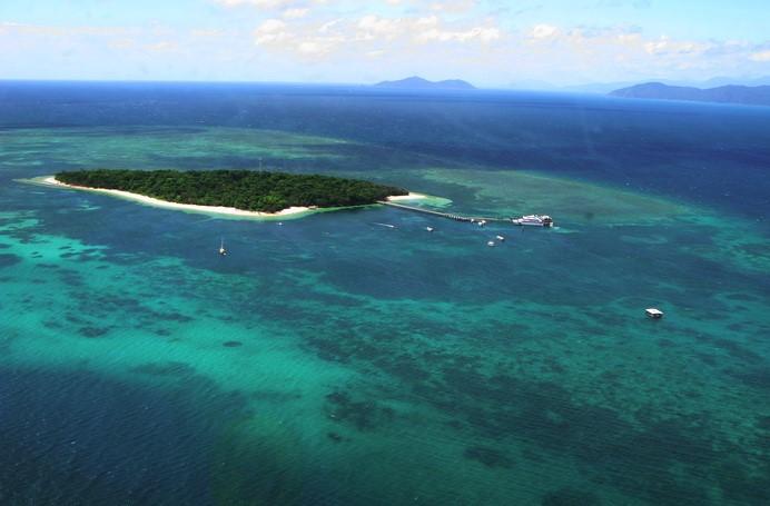 Cairns fly + reef cruise