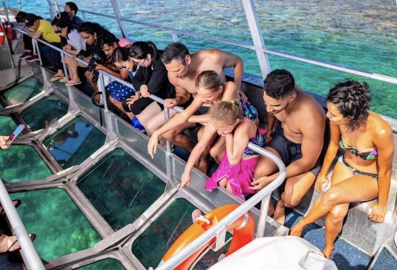 Sunlover Reef Cruises Cairns Great Barrier Reef Experience