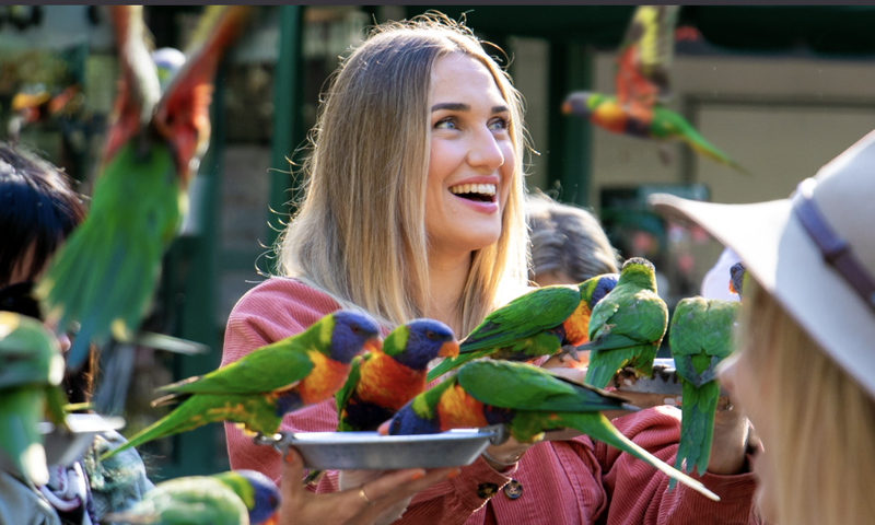Currumbin Wildlife Sanctuary Tickets