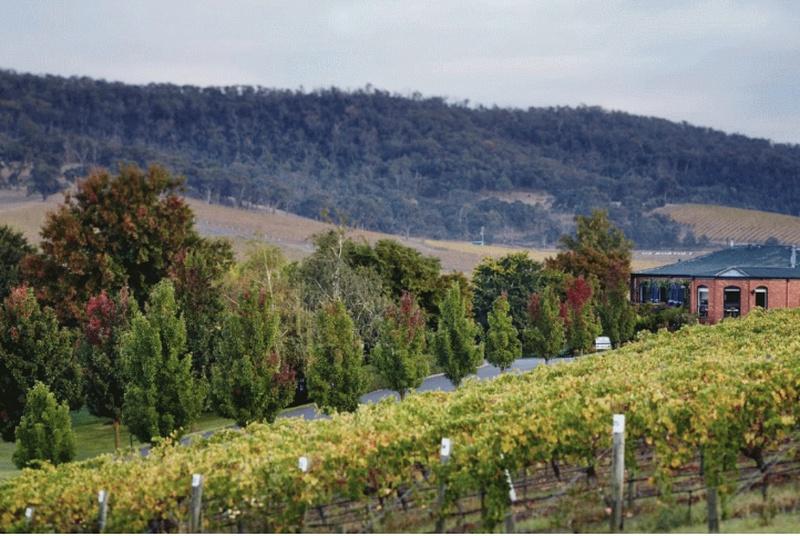 Yarra Valley day Tour