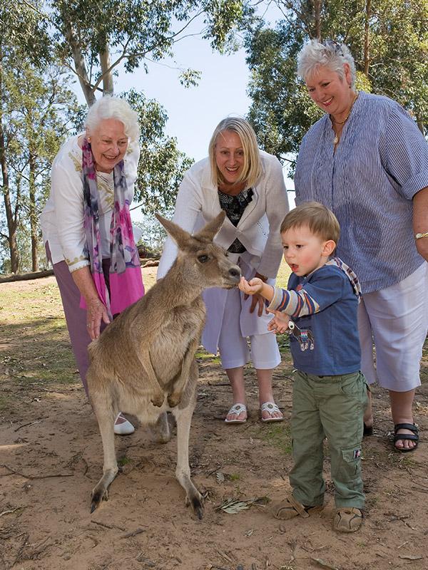 Brisbane River Cruise + Lone Pine Koala Sanctuary