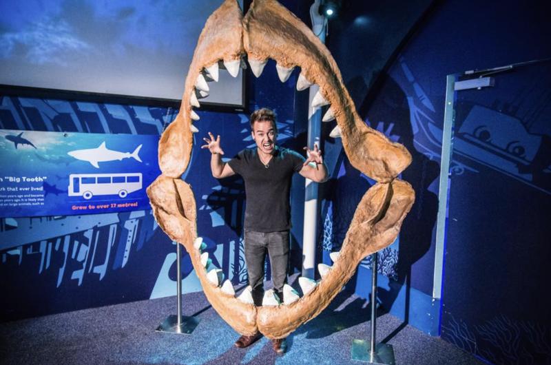 SEA LIFE Sydney Aquarium Admission