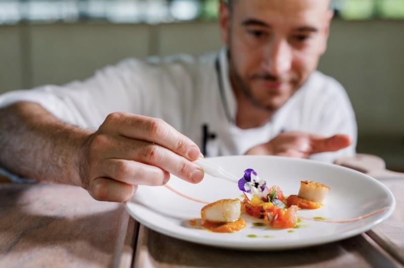 Sydney: Harbour Dinner Cruise with 3, 4 or 6-Course Menu