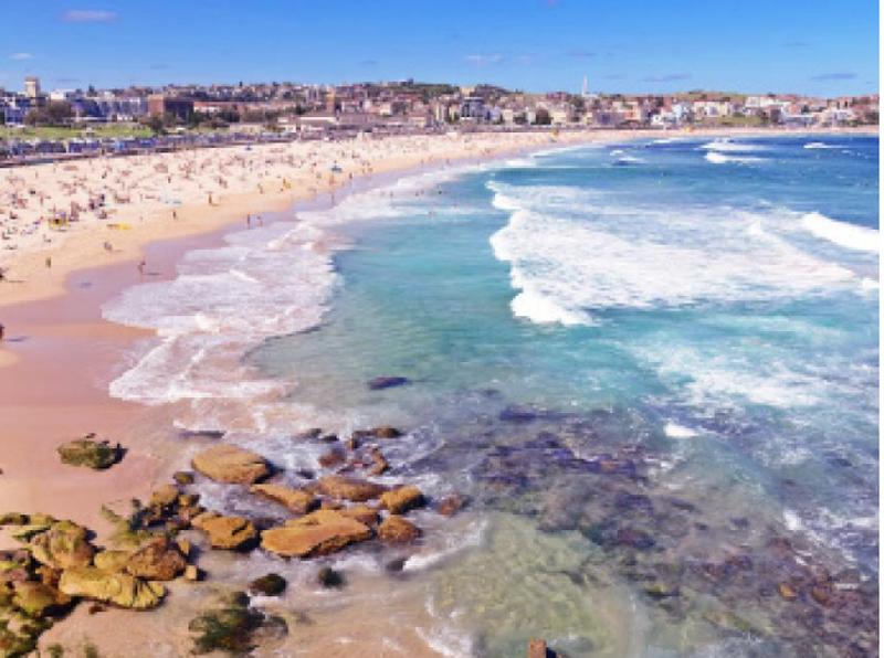 Sydney Internet celebrity landmark one-day tour