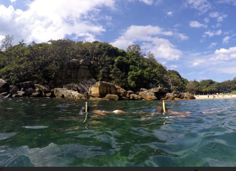 Manly and Shelly Beach Snorkeling Tour