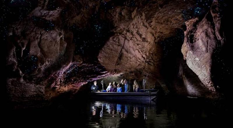  Milford Sound + Glowworm Caves