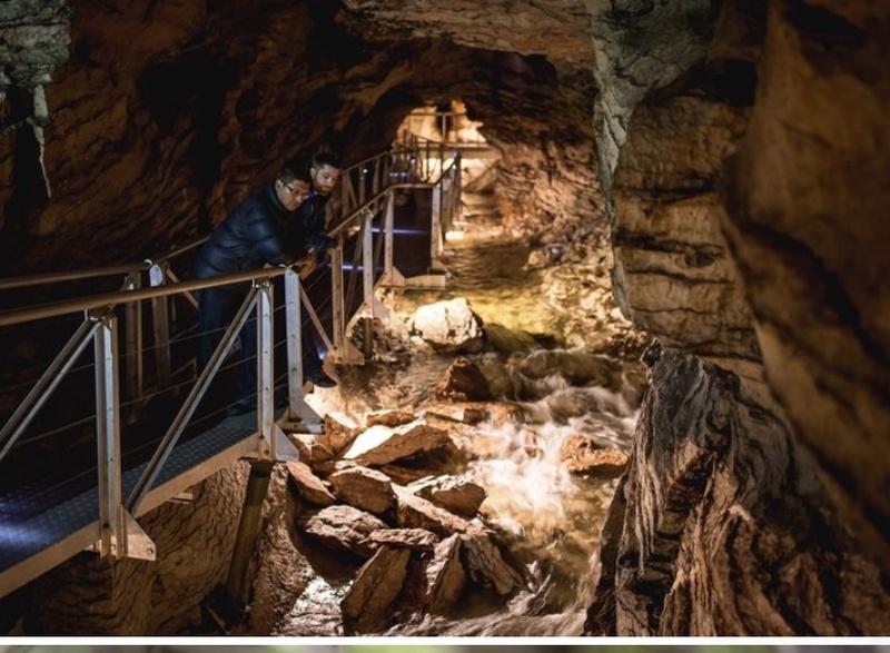 Te Anau Glowworm Caves
